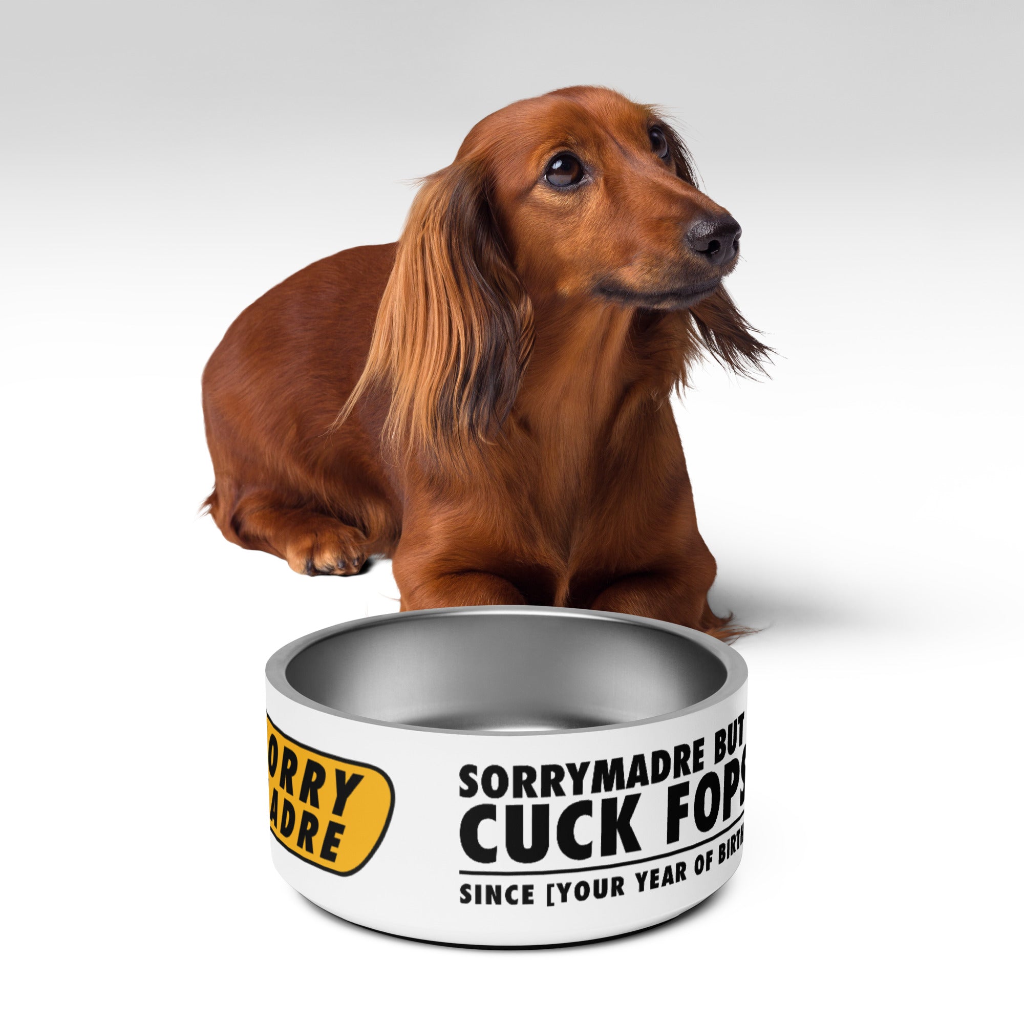 SorryMadre | Pet bowl