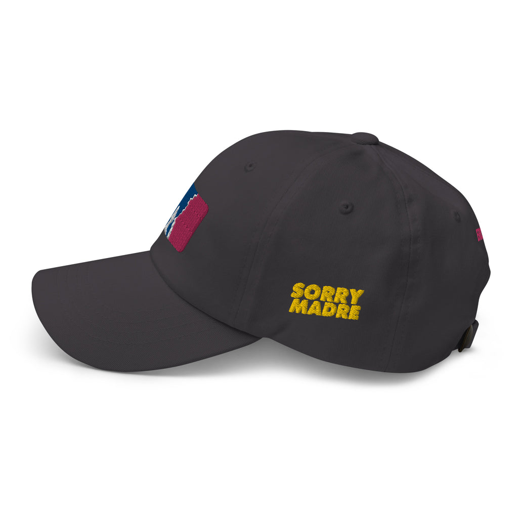 SorryMadre | NMSL | Dad hat