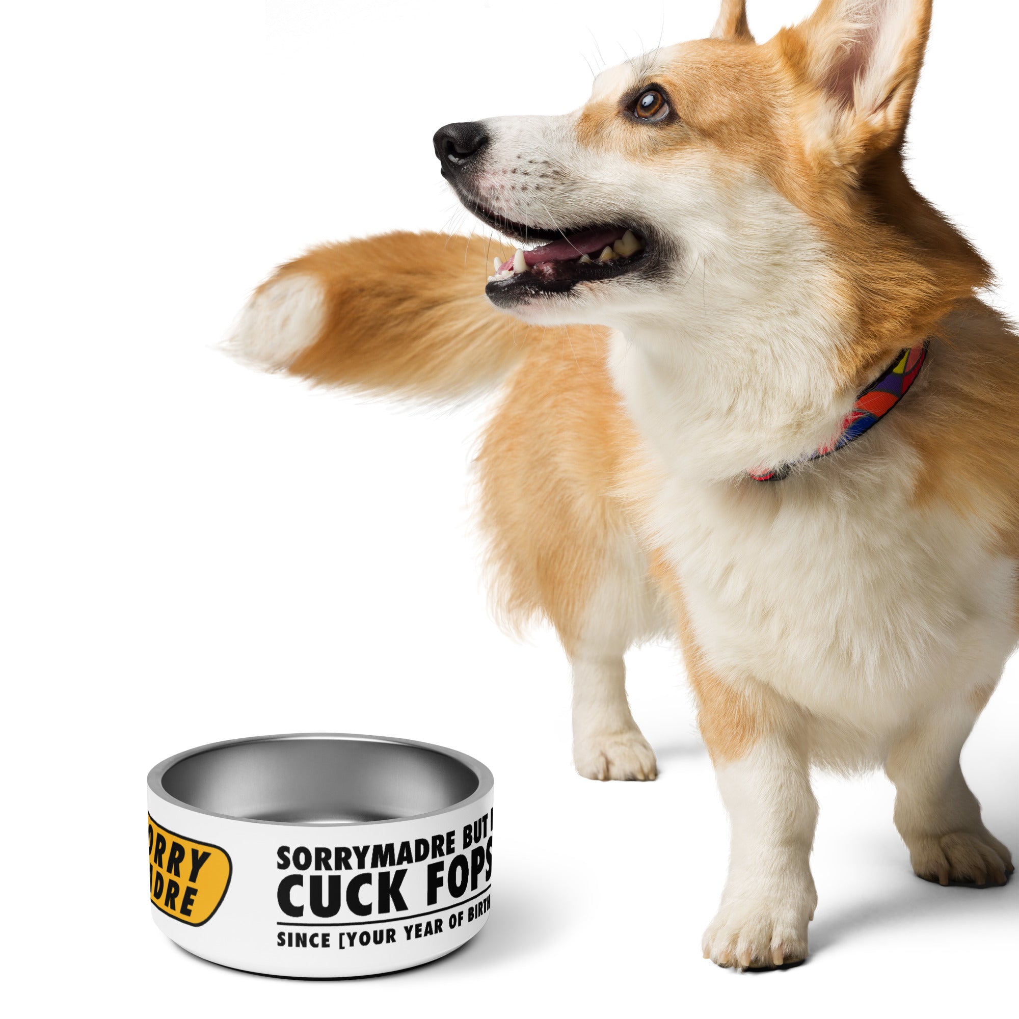 SorryMadre | Pet bowl